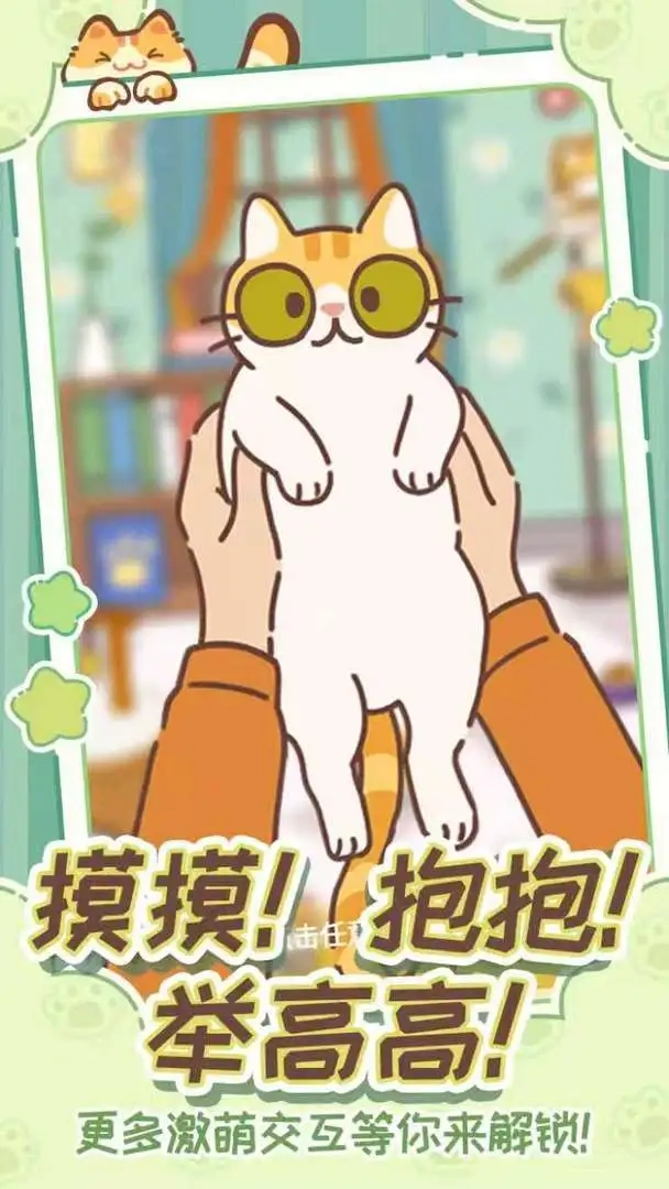 领养一只流浪猫图3