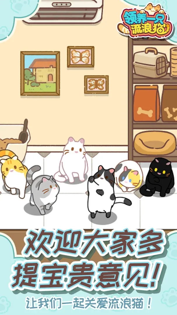 领养一只流浪猫图4