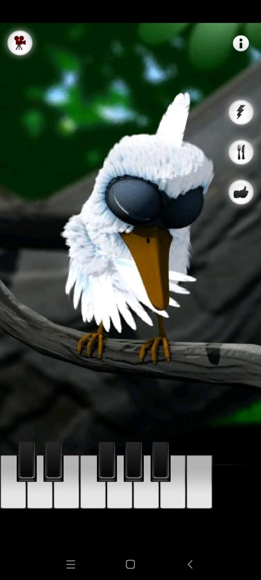 会说话的拉里鸟中文版