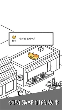 猫咪真的很可爱图1