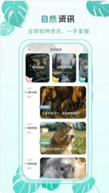 百科物语软件手机版图5