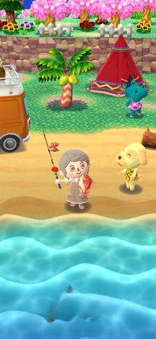 动物森友会2026(4)