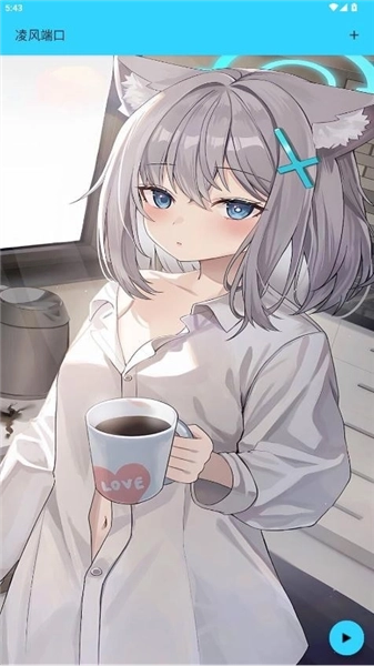 凌风端口正版截图3