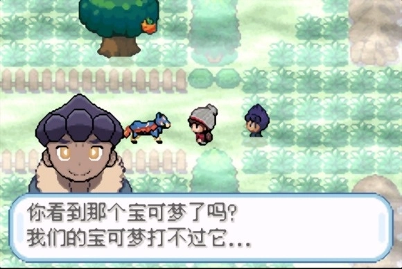 口袋妖怪剑盾游戏手机版(6)