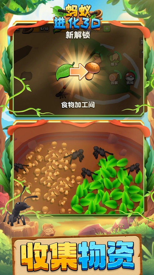蚂蚁进化3D正版(5)