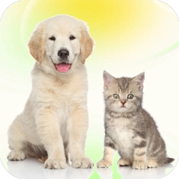 免费猫狗动物翻译器