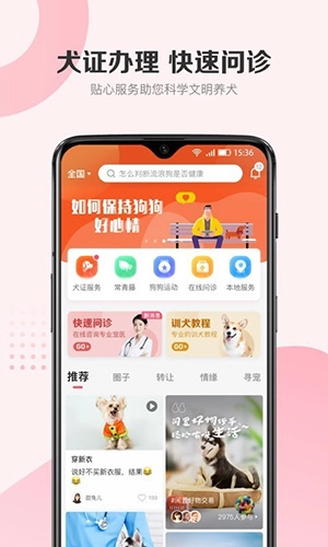 68宠物图1