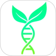 测血氧检测健康记录