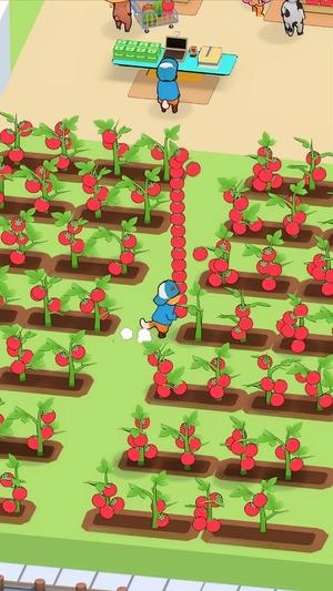 我的动物市场(1)