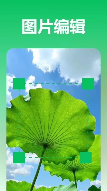 极光录音转文字最新版