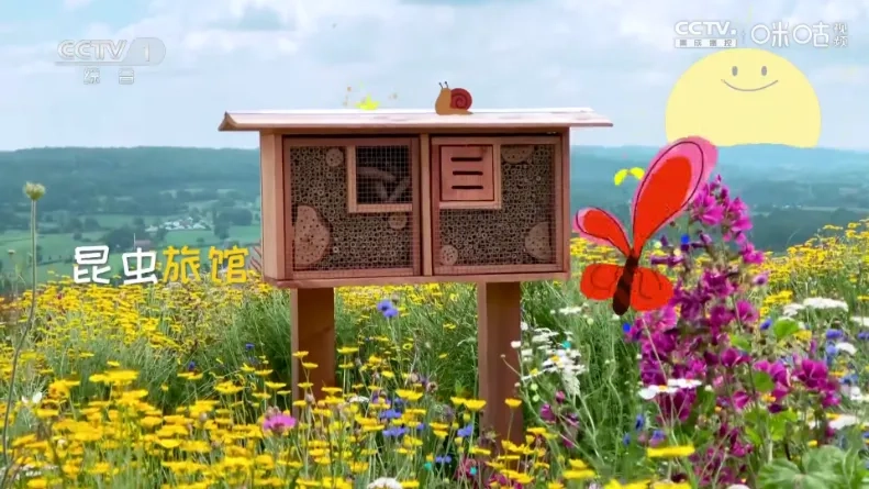 娜的小店 vLIVE 安卓版图1