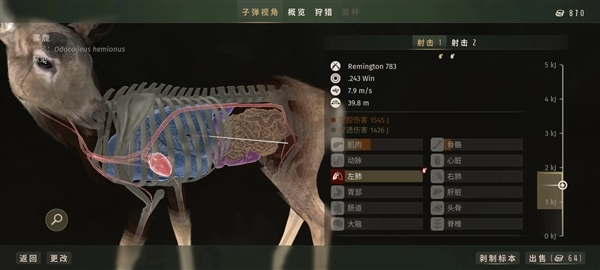 猎人之路狂野美国(2)