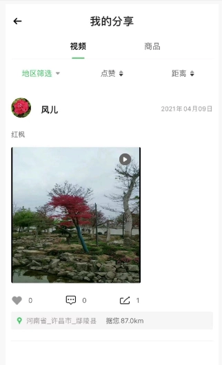 花木森林