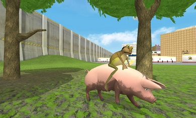 神奇青蛙游戏图3