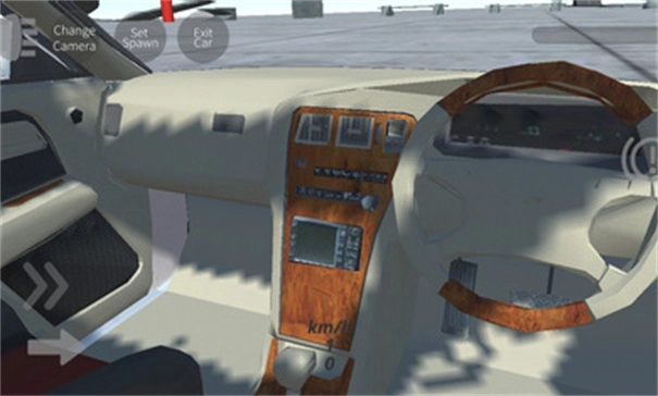 辛迪汽车驾驶(2)