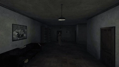 恐怖鬼魂模拟器中文版(2)