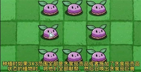 pvzbt正版图1
