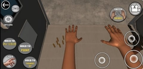 手掌模拟器中文版图1