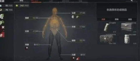 暗区突围国际服轻量版