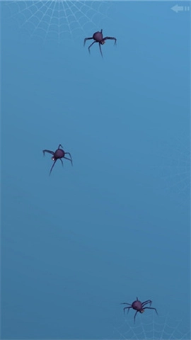 peppycat猫咪（Cat Toy）(2)