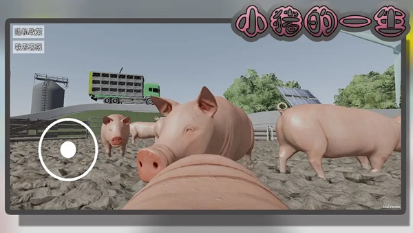 小猪的一生游戏(4)