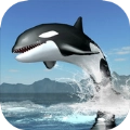 虎鲸生存模拟器Orca Survival Simulator