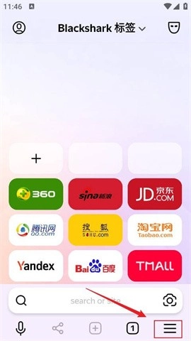 俄罗斯引擎浏览器