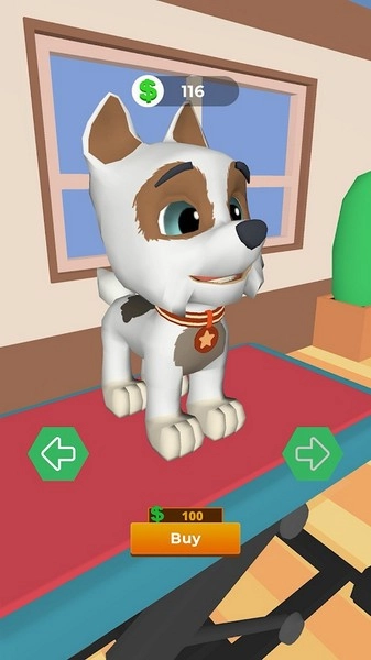 狗狗美容护理(4)