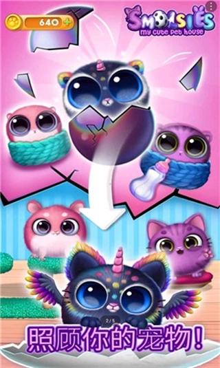 我的可爱宠物屋免广告(3)