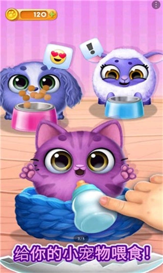 我的可爱宠物屋免广告(4)
