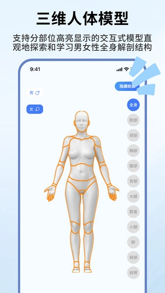 人体解剖学图谱图1
