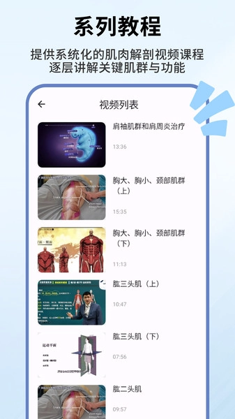 人体解剖学图谱图4