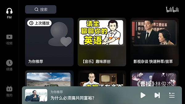 哔哩哔哩车机版(4)