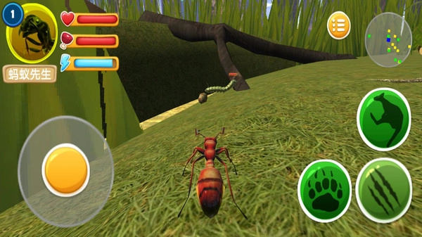 荒野求生之路图1