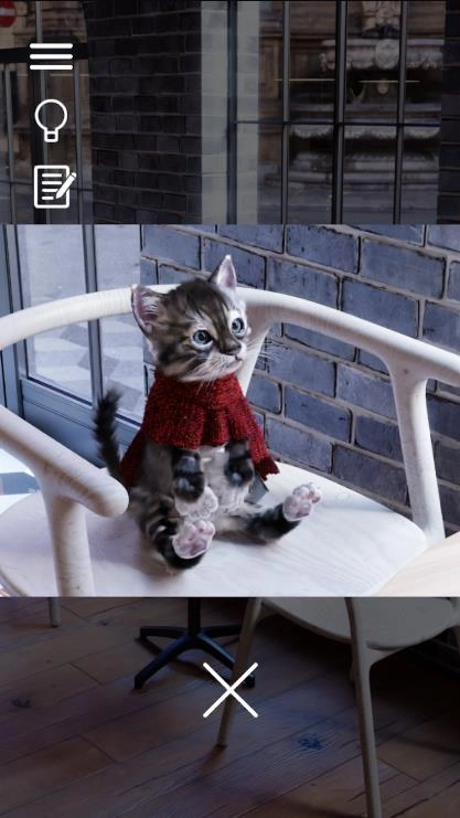 逃脱游戏猫咪与拿铁咖啡与巧克力蛋糕