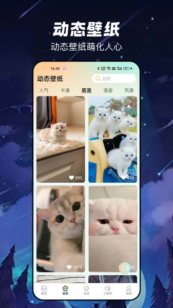 梦幻乐园壁纸(1)