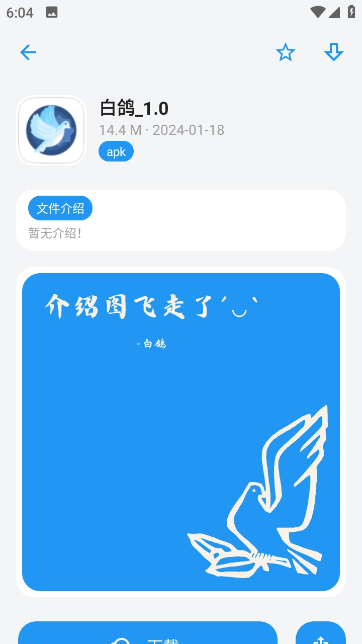 白鸽盒子图2
