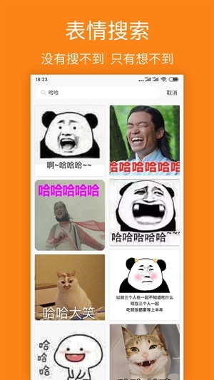 宝图盒子手机版图1