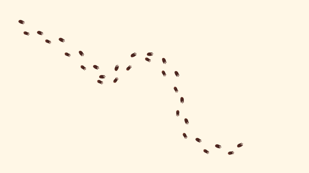 小棕鼠的自然生态百科游戏图2