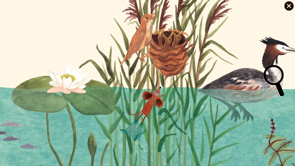 小棕鼠的自然生态百科游戏图4