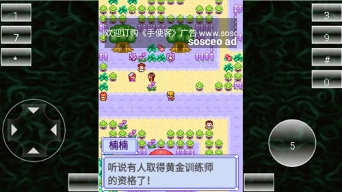 宠物王国2紫游戏