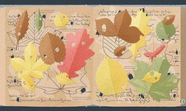 往左一点看星星图3