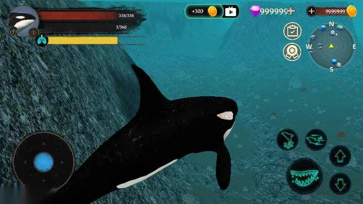 虎鲸模拟器最新版1