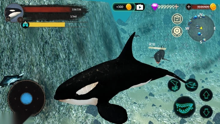 虎鲸模拟器最新版2