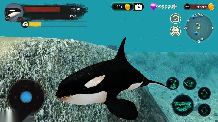 虎鲸模拟器最新版4