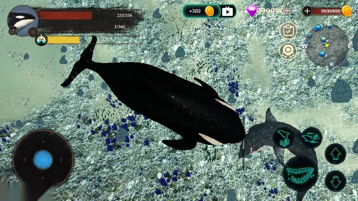 虎鲸模拟器最新版3