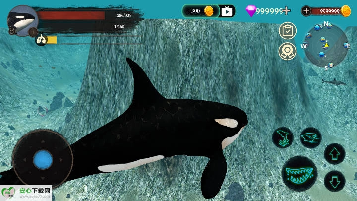 虎鲸模拟器最新版5