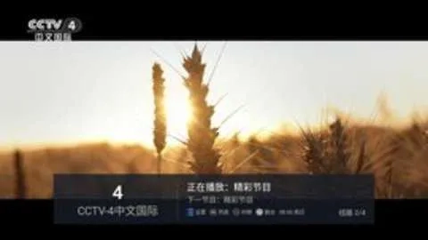 电视家  安卓版