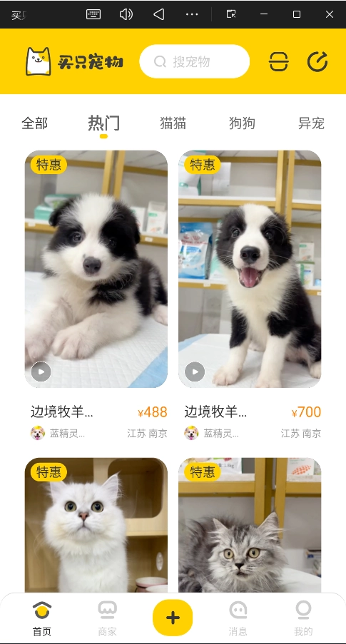 买只宠物安卓版1