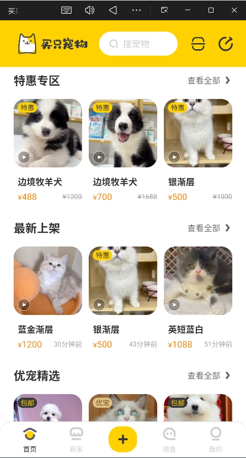 买只宠物安卓版3